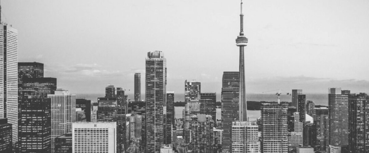 Local SEO Services in NOCO